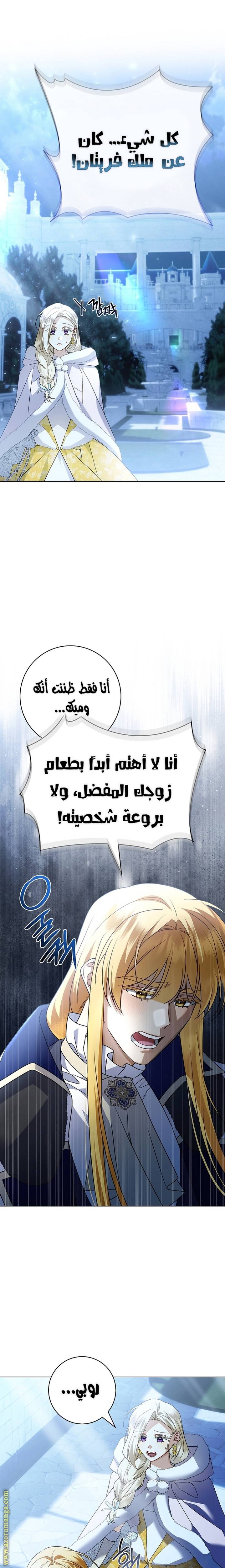 الصفحة 27