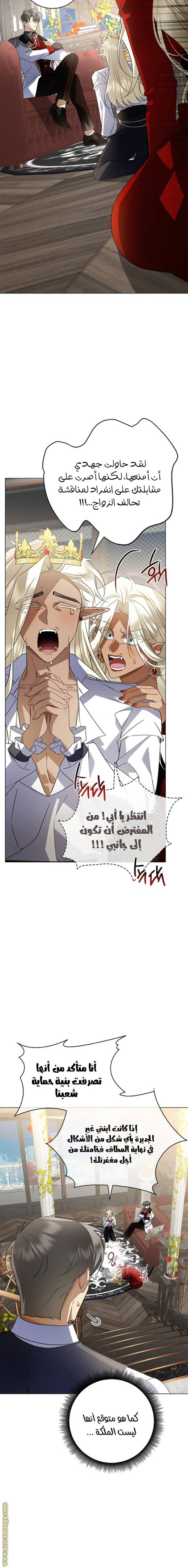 الصفحة 14