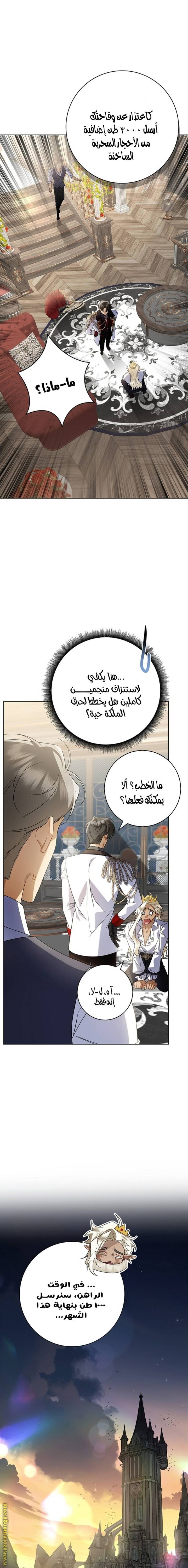 الصفحة 19