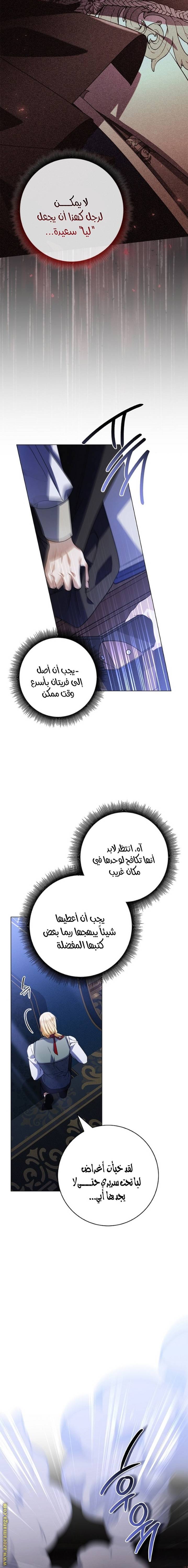 الصفحة 25