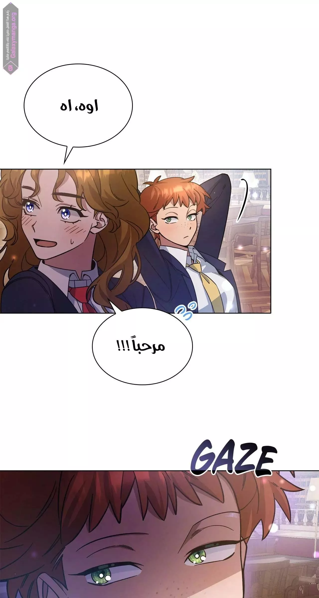 الصفحة 26