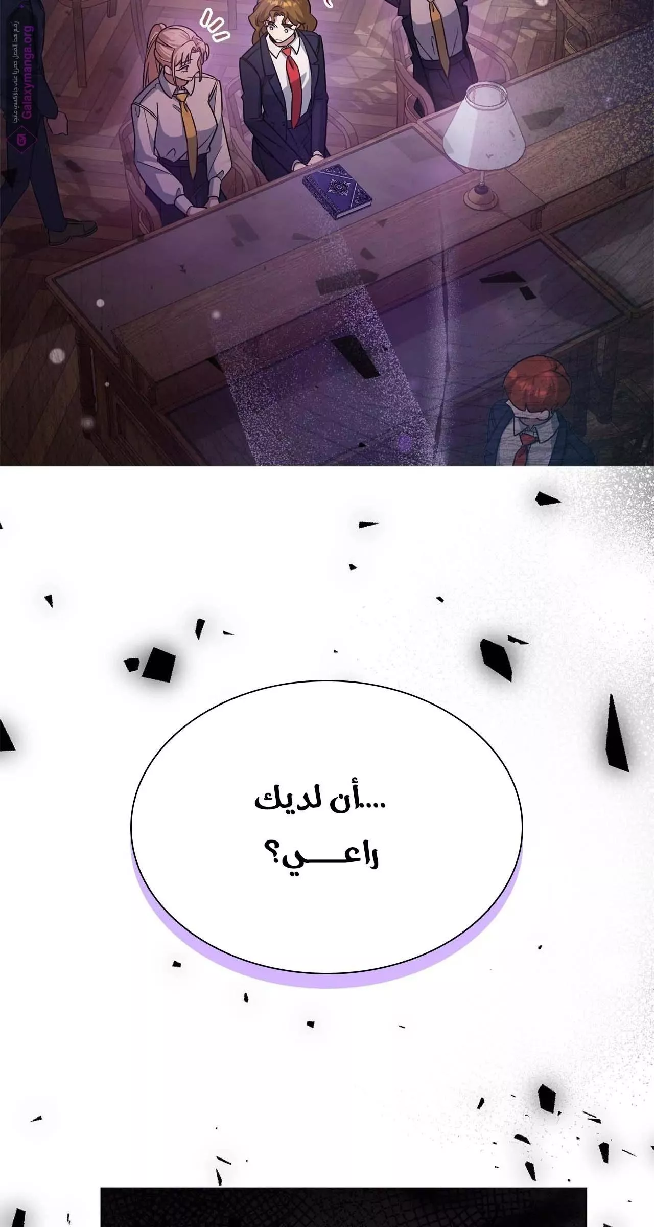 الصفحة 28