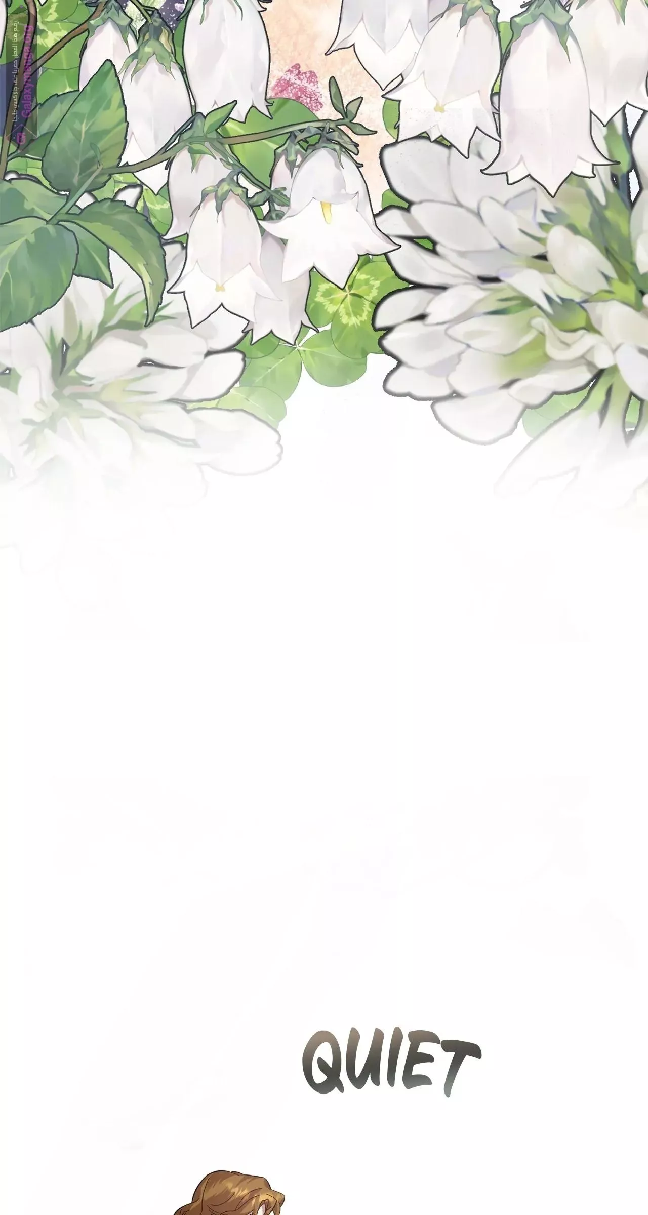الصفحة 21