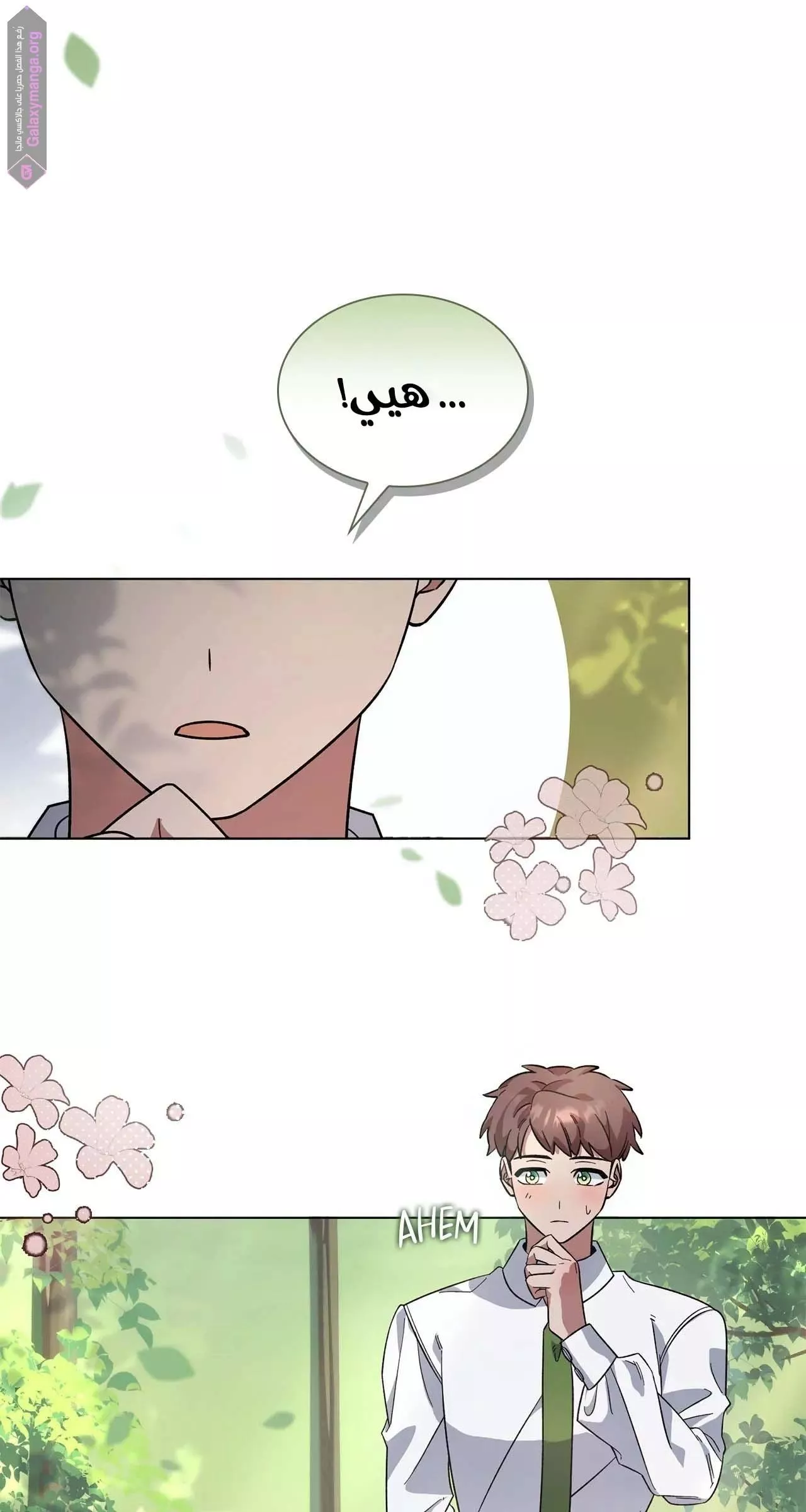 الصفحة 43
