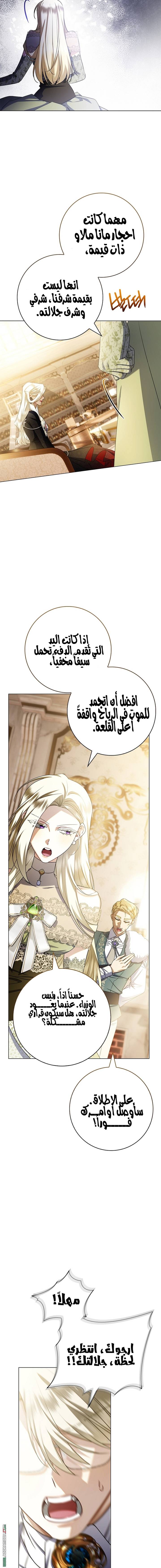الصفحة 13