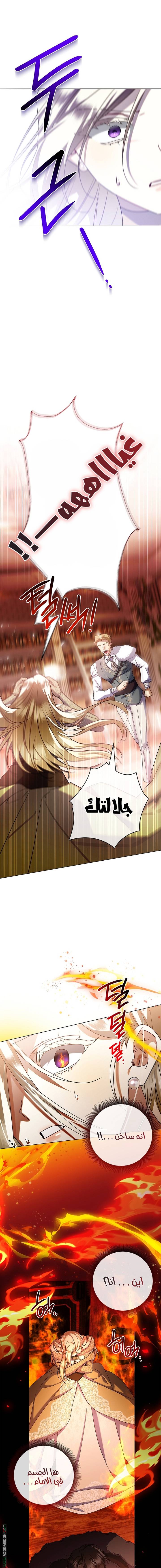 الصفحة 19