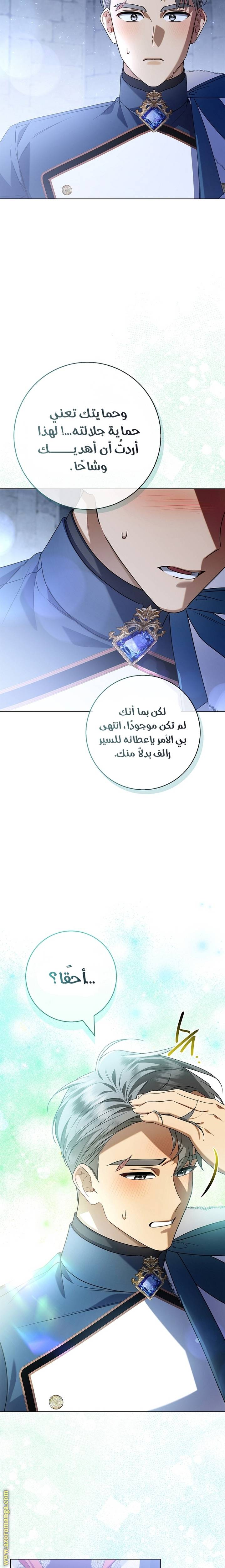 الصفحة 19