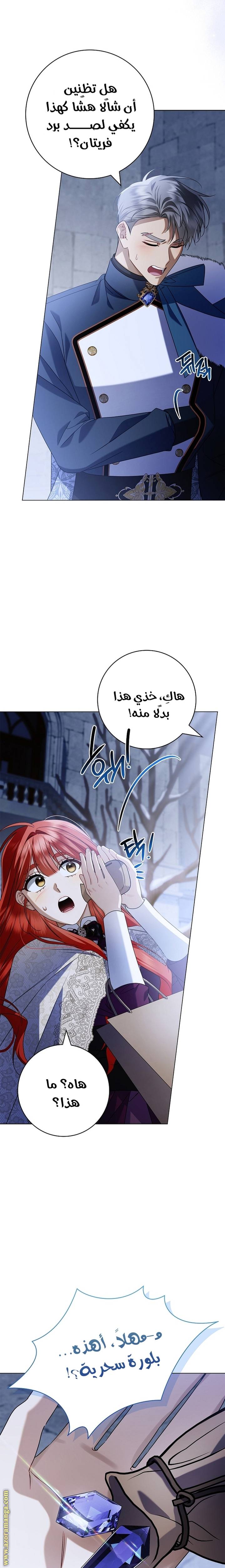 الصفحة 21