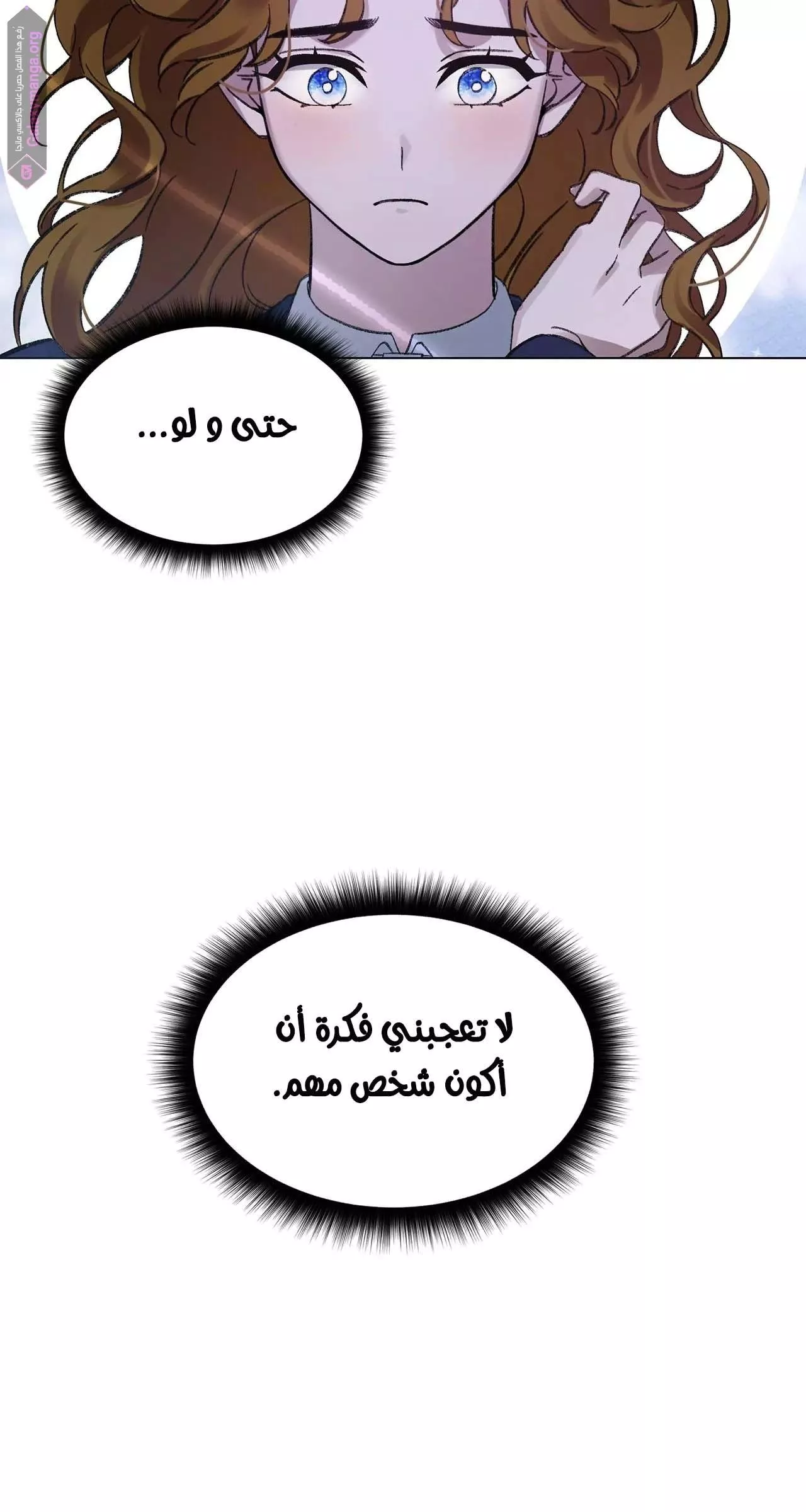 الصفحة 43