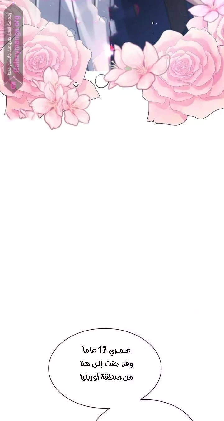 الصفحة 33