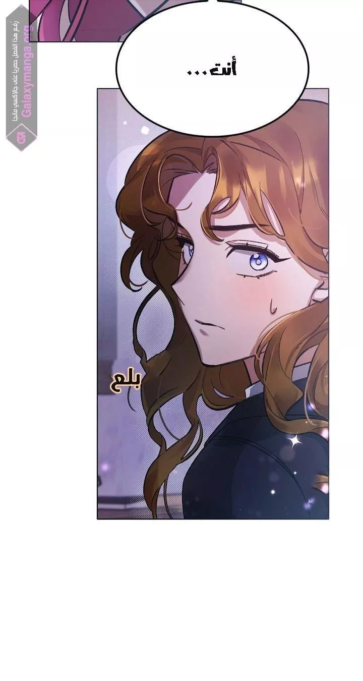 الصفحة 42