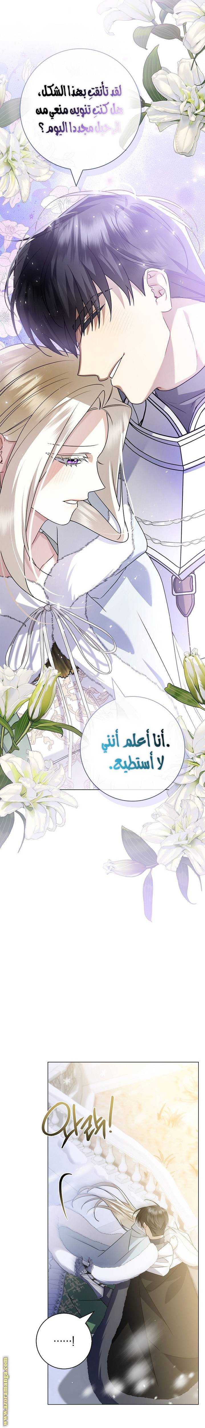 الصفحة 19