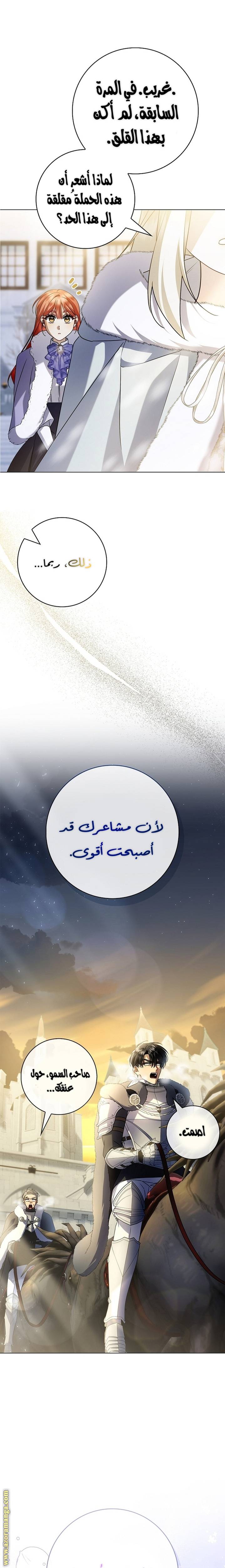 الصفحة 27