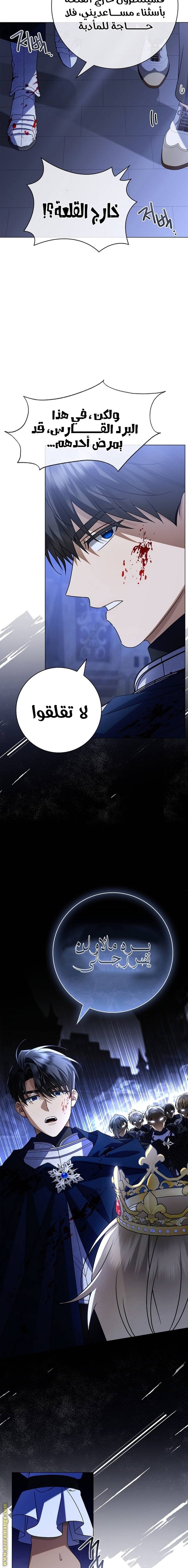 الصفحة 15