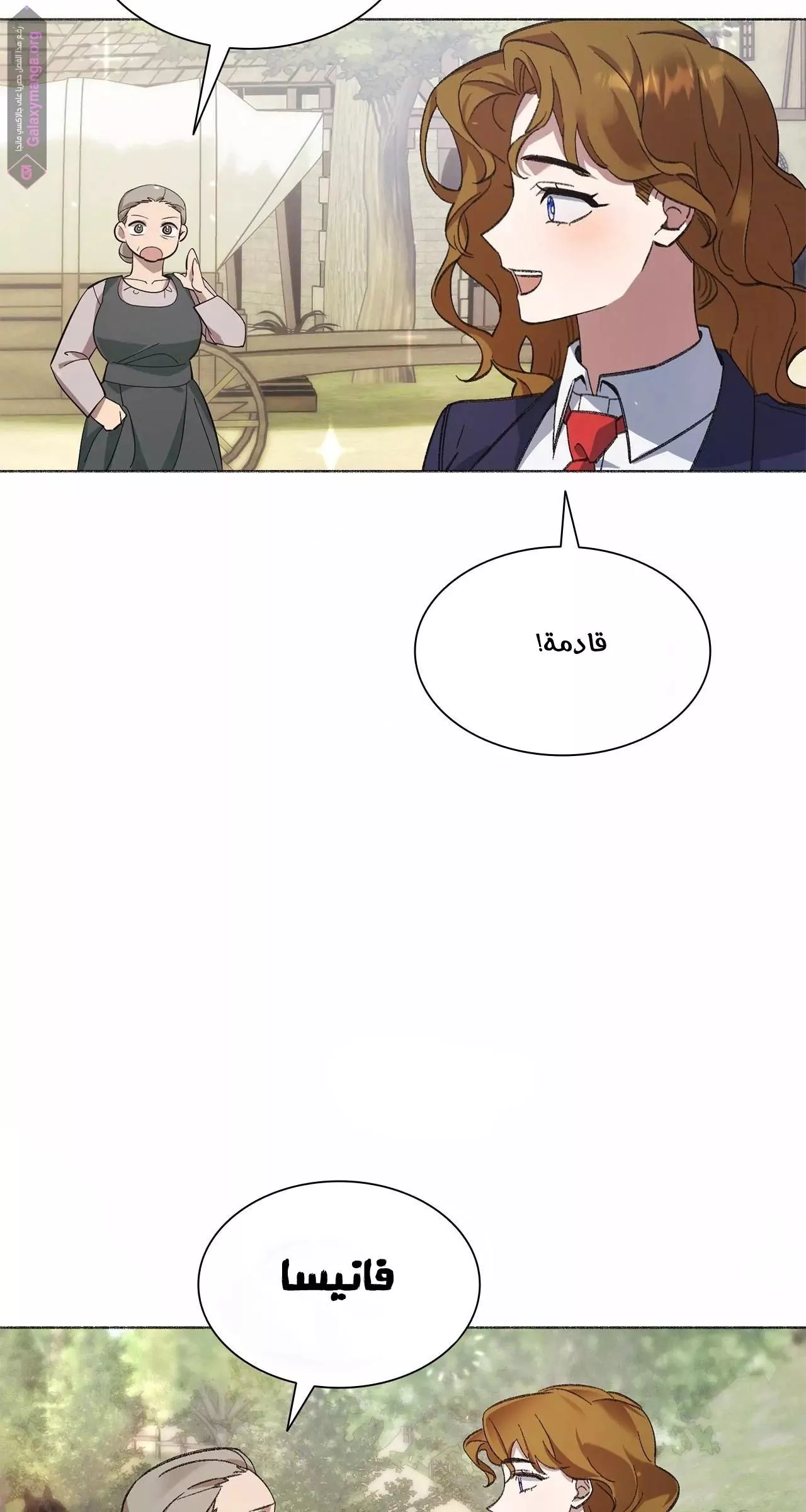 الصفحة 13