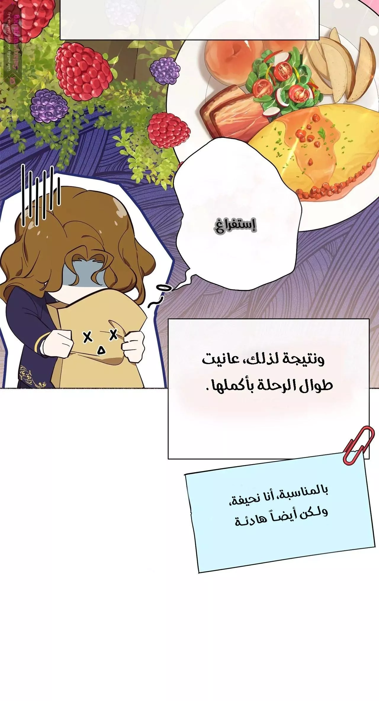 الصفحة 43