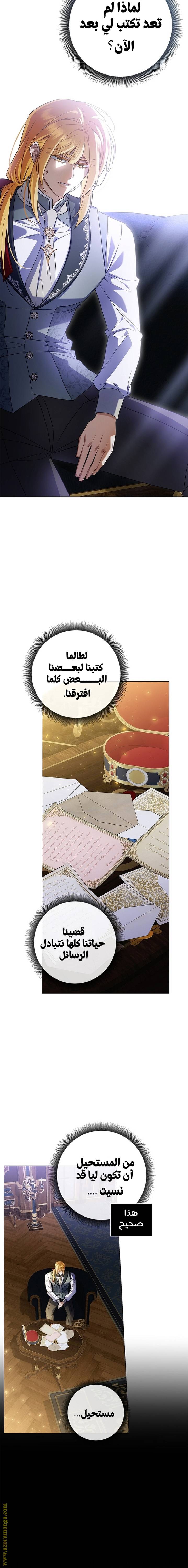 الصفحة 17