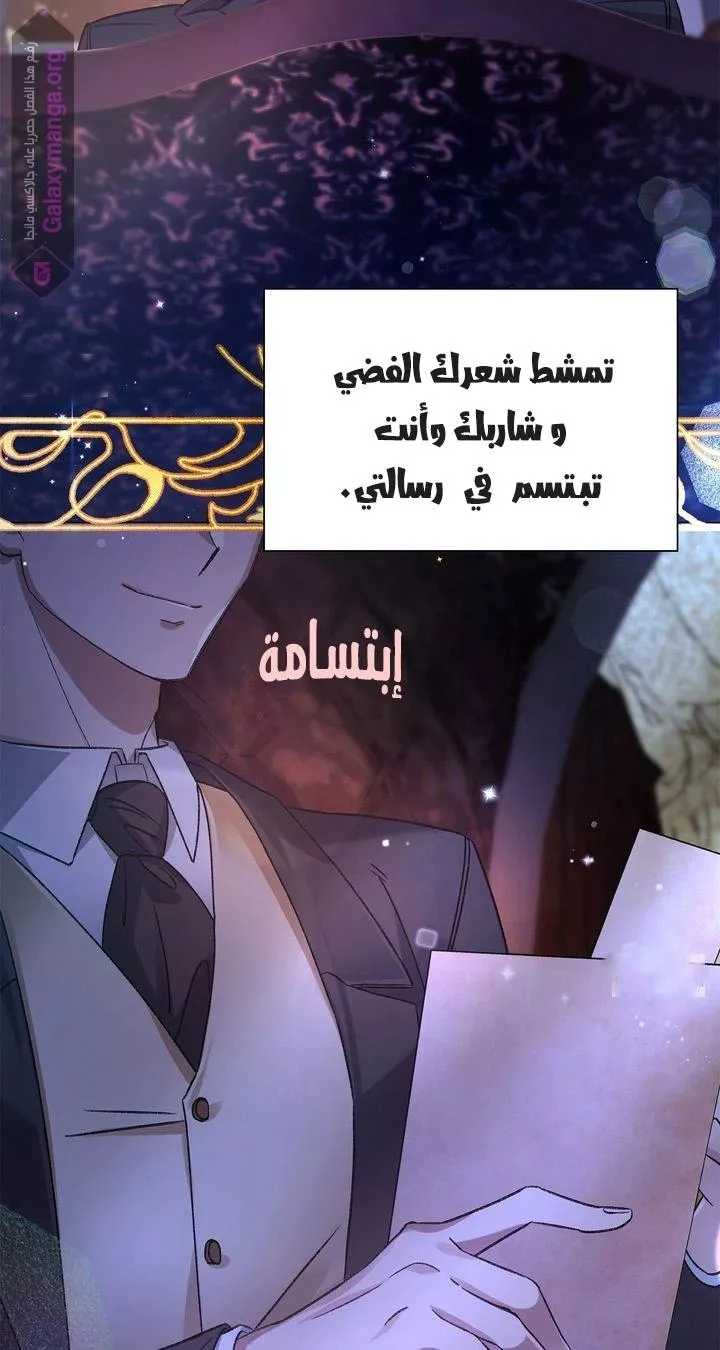 الصفحة 27