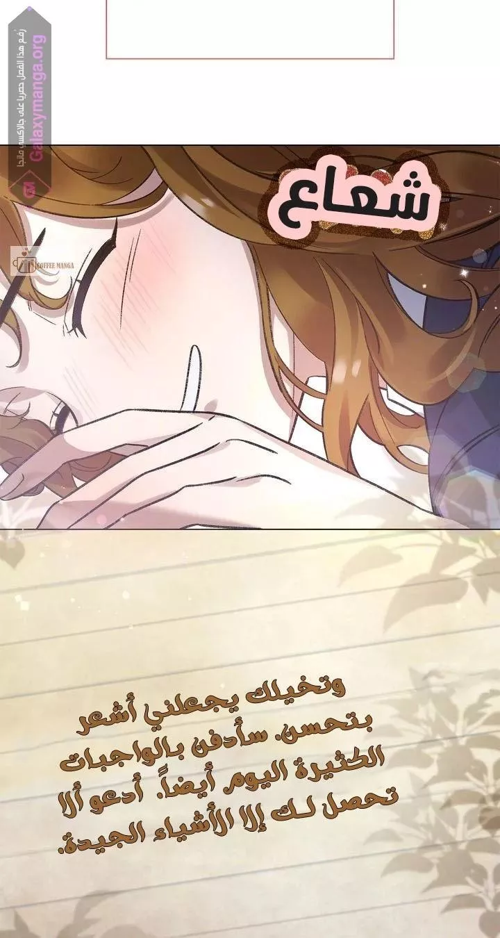 الصفحة 29