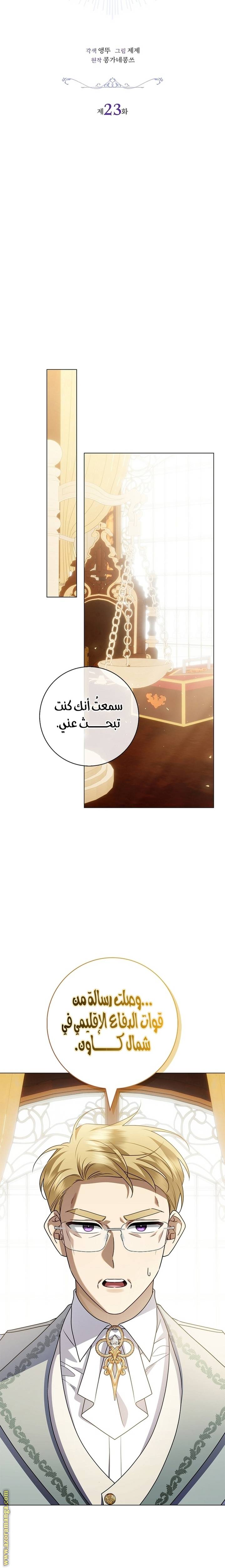 الصفحة 20