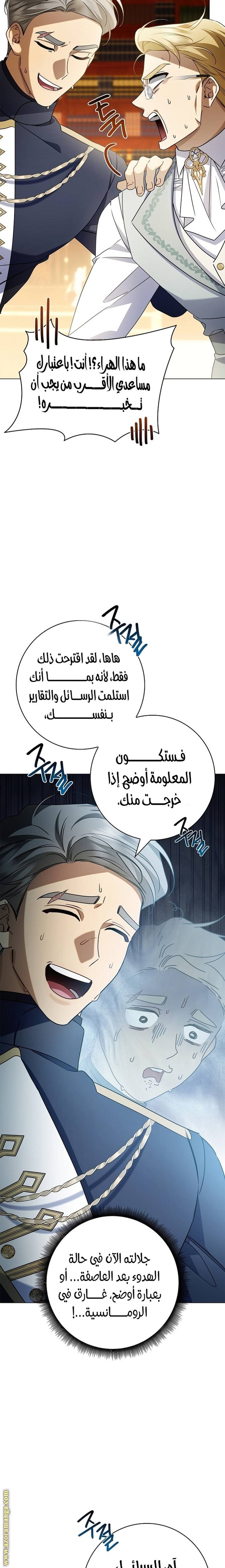 الصفحة 27