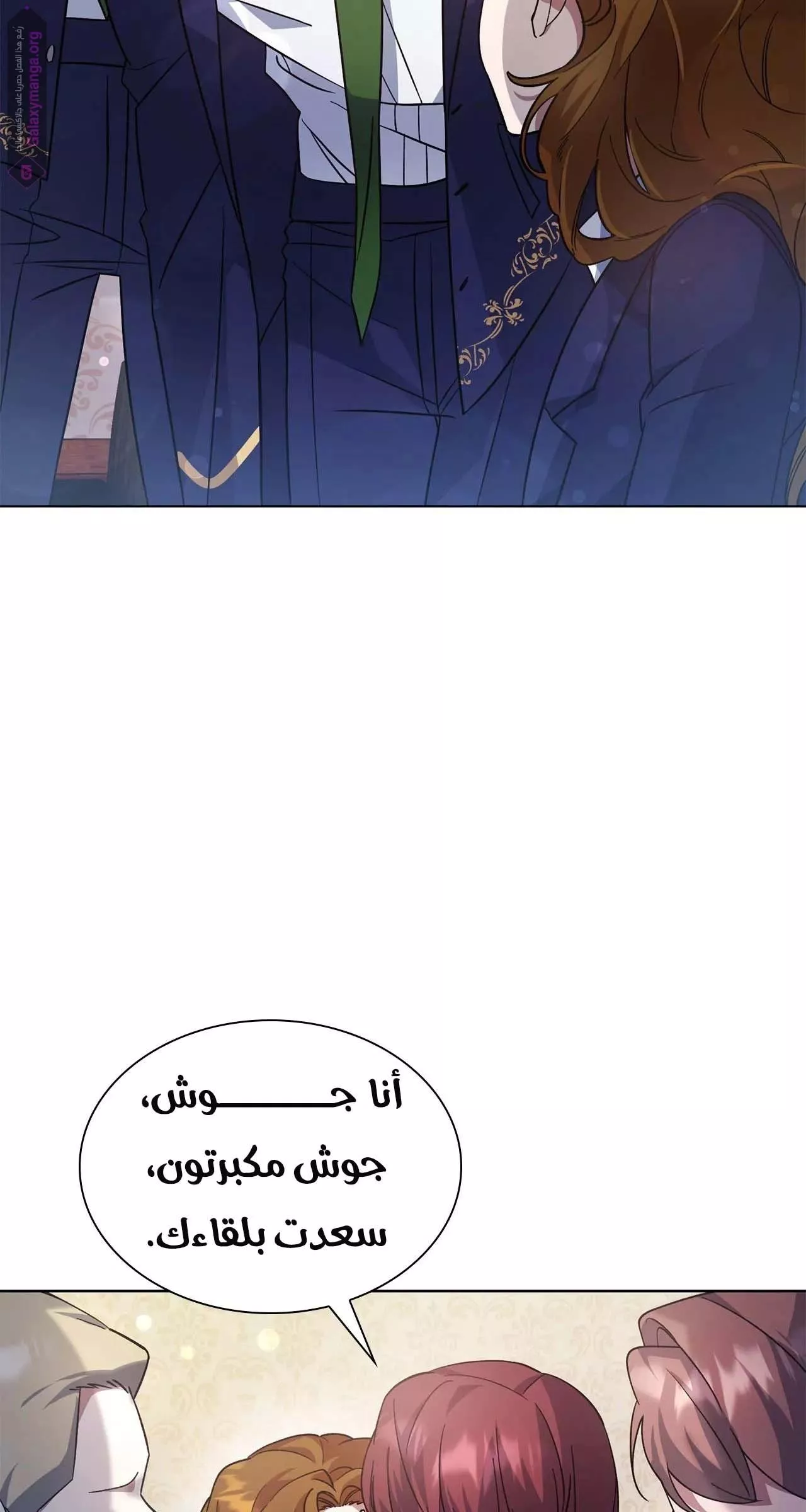 الصفحة 27