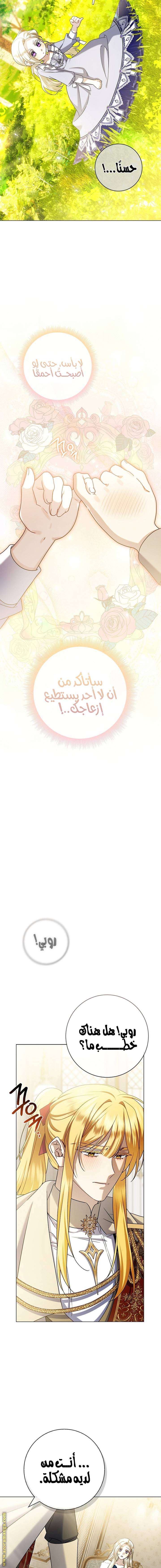 الصفحة 11