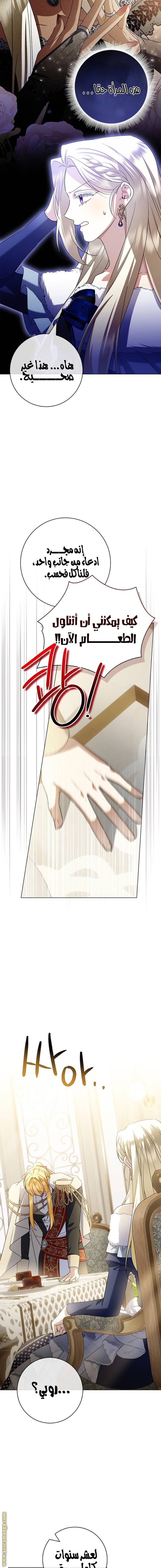الصفحة 13