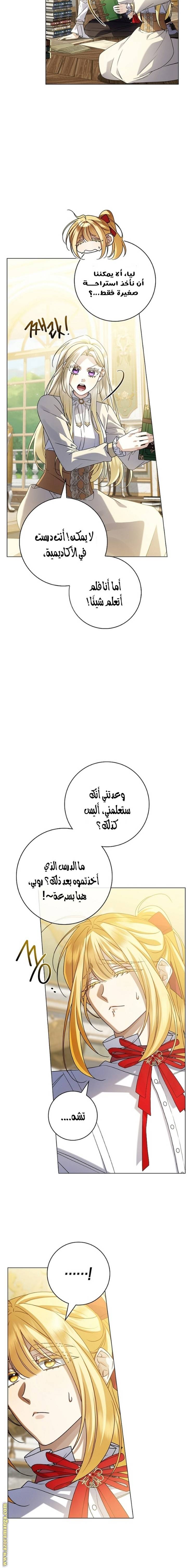 الصفحة 11