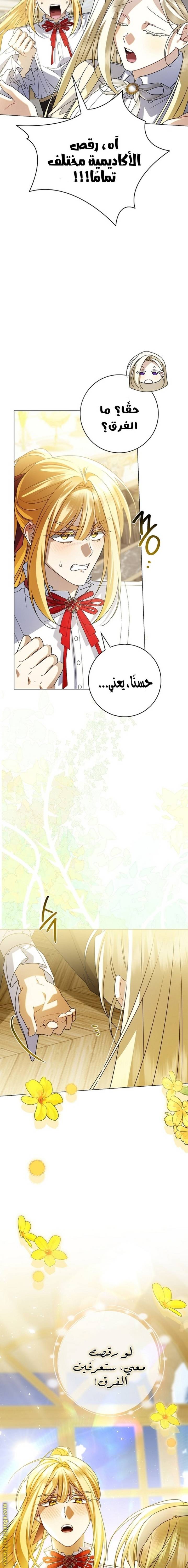 الصفحة 13
