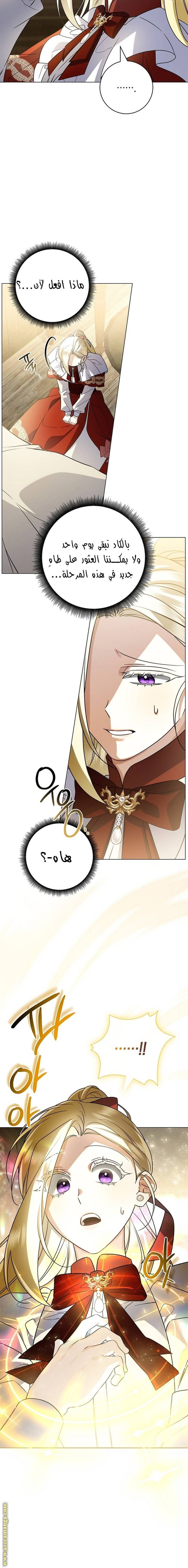 الصفحة 15