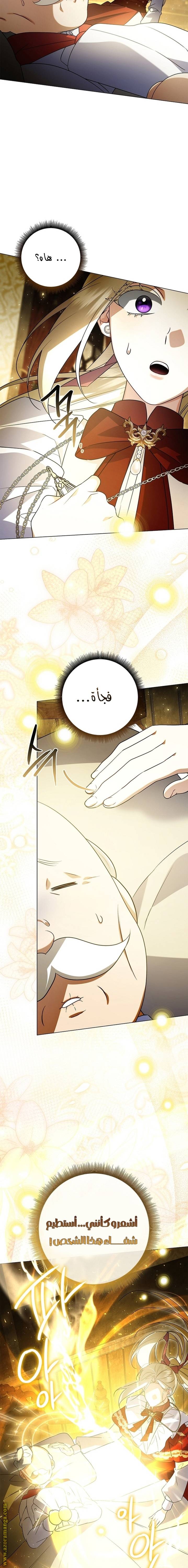 الصفحة 17