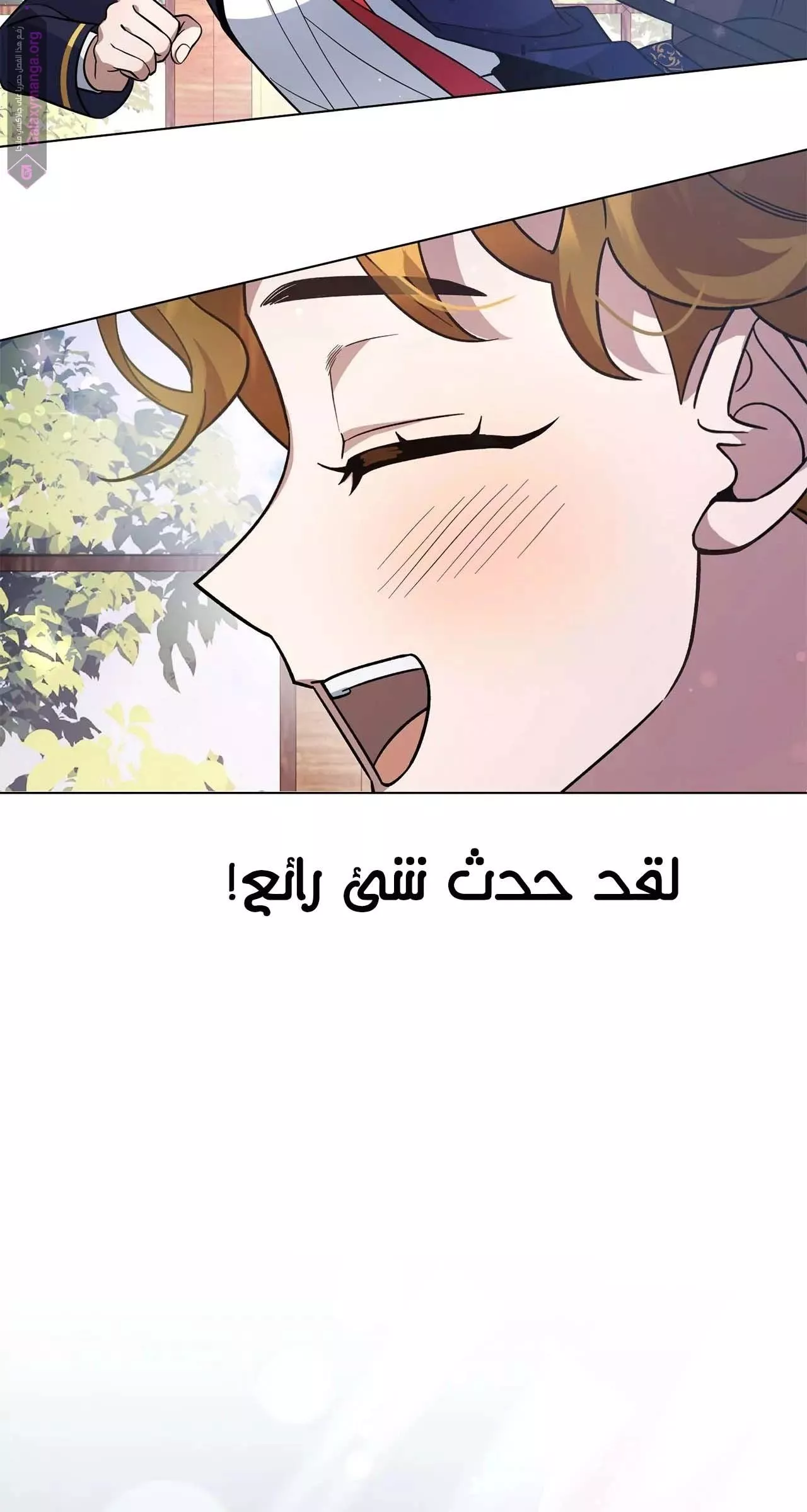 الصفحة 3