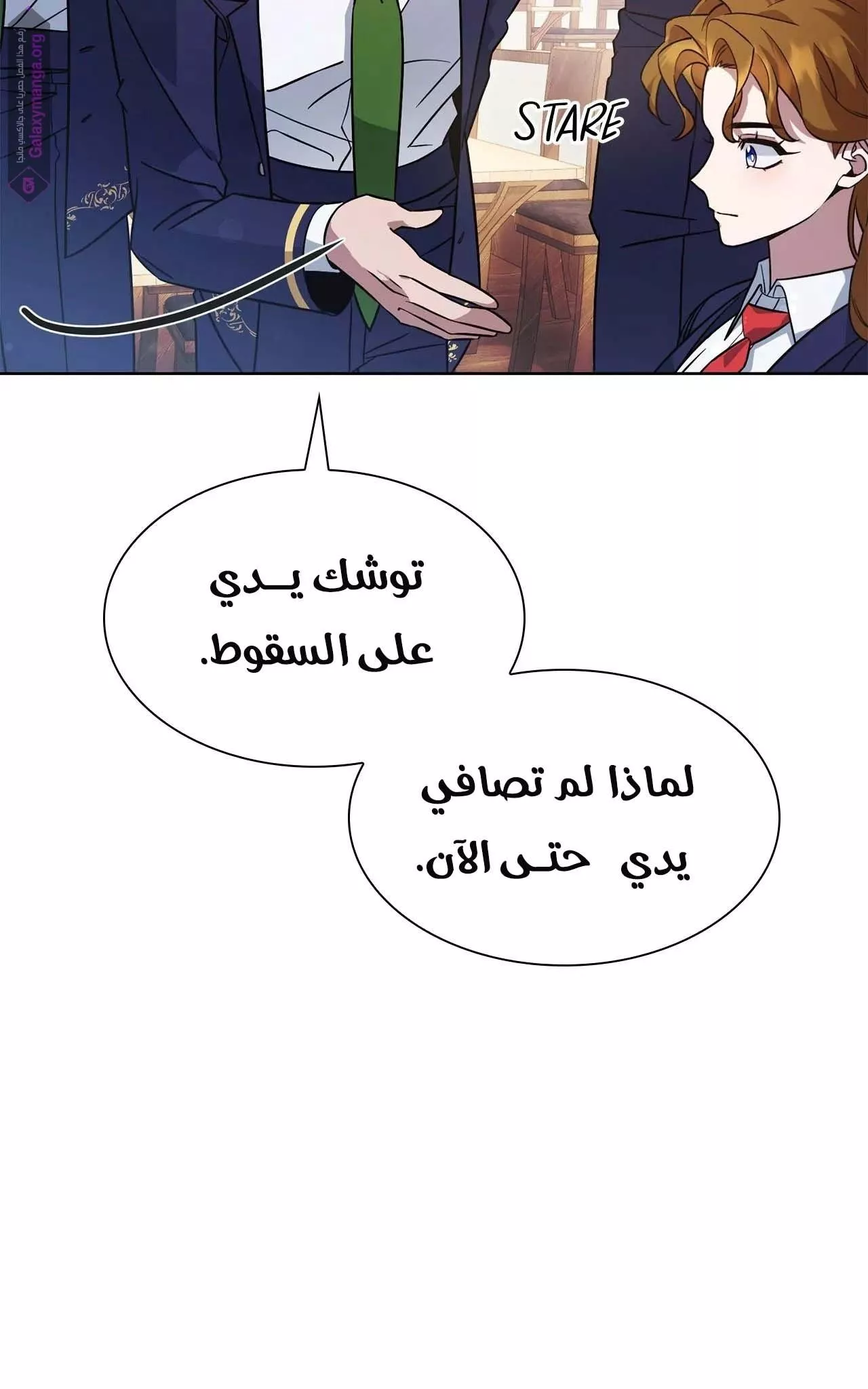 الصفحة 29