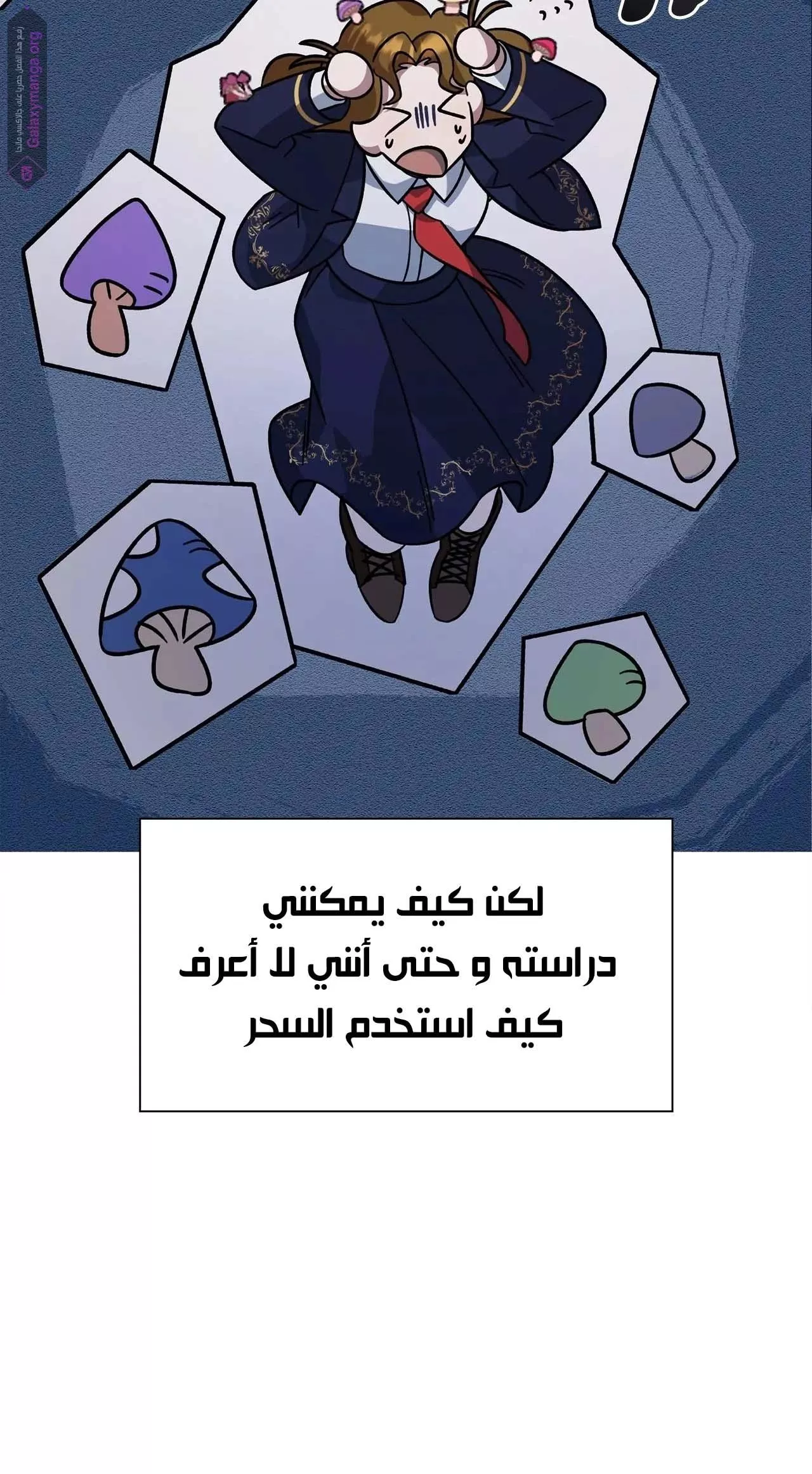 الصفحة 5