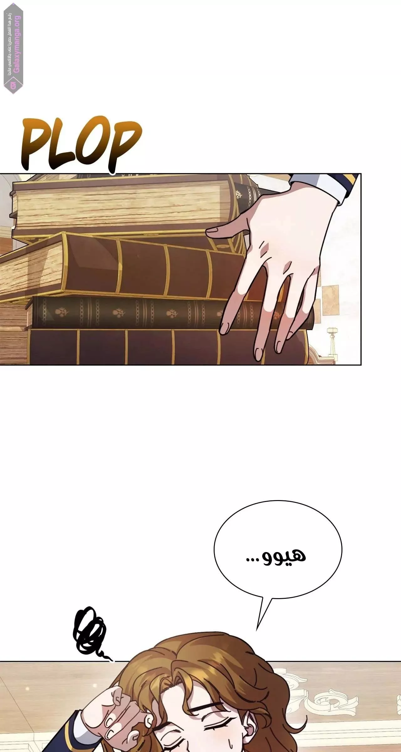 الصفحة 27