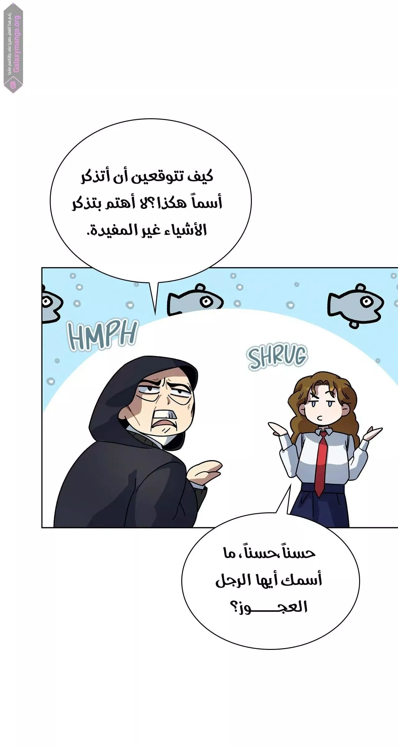 الصفحة 13