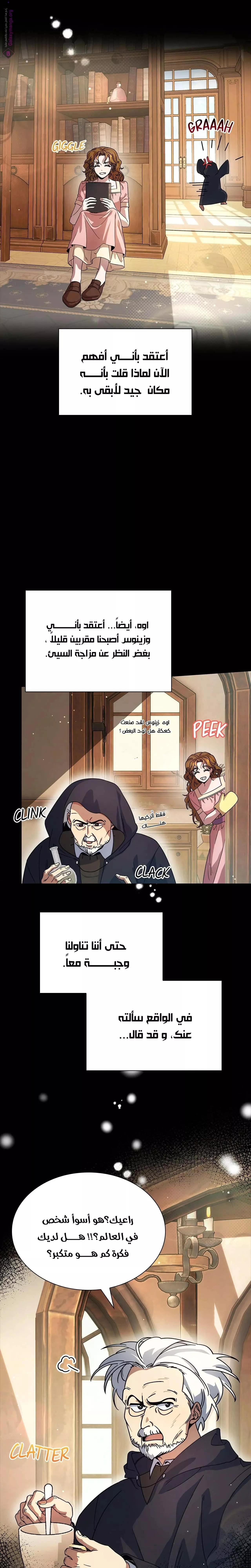 الصفحة 17