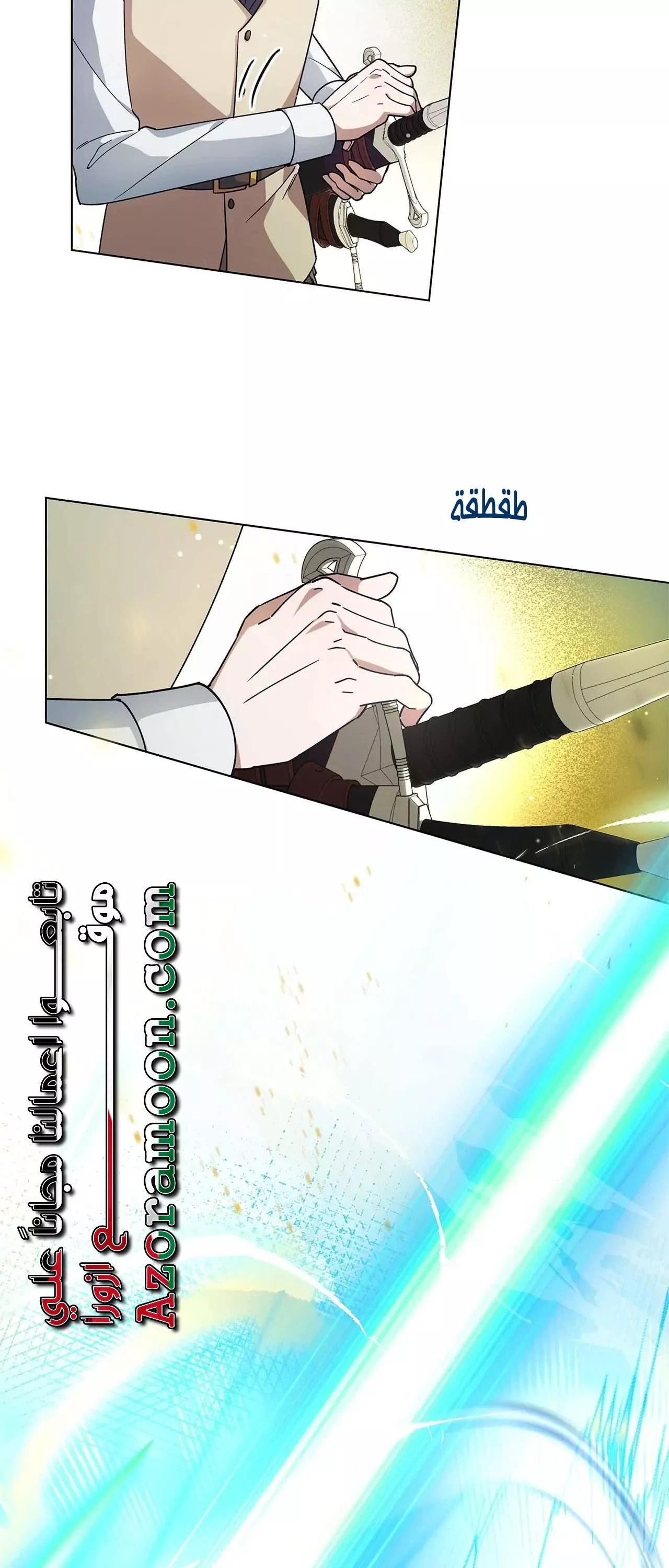 الصفحة 31