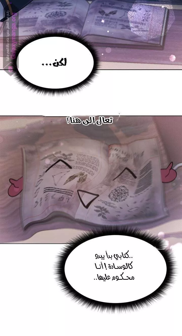 الصفحة 19
