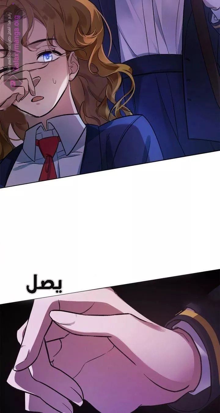 الصفحة 25