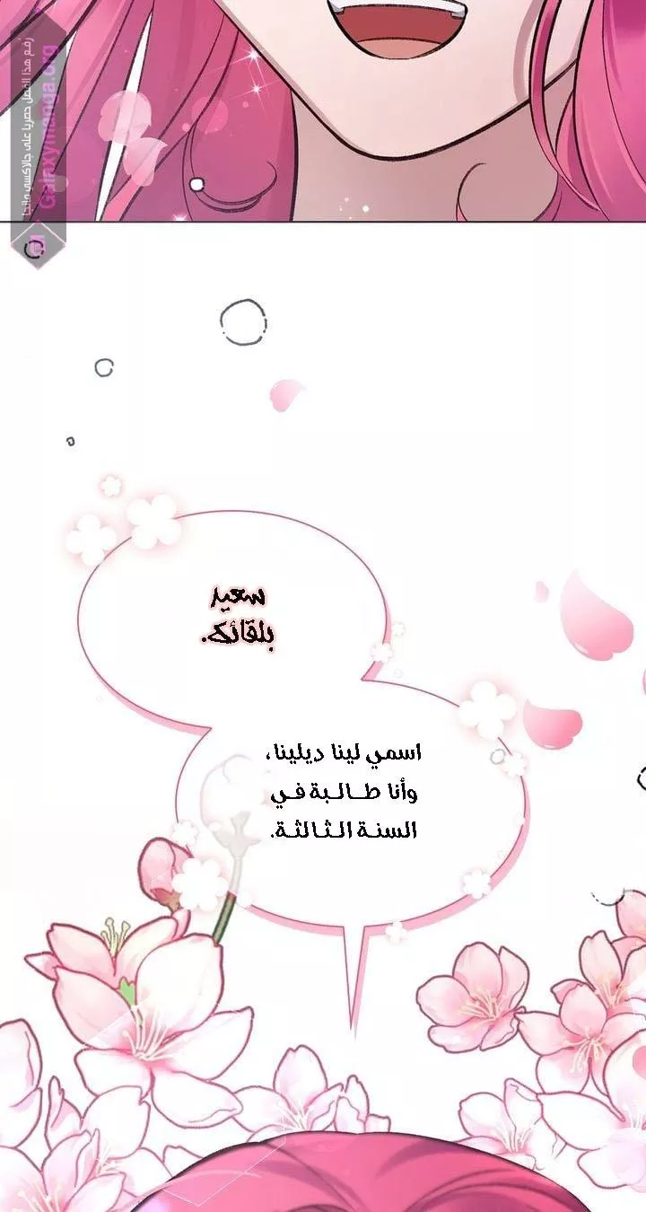 الصفحة 31