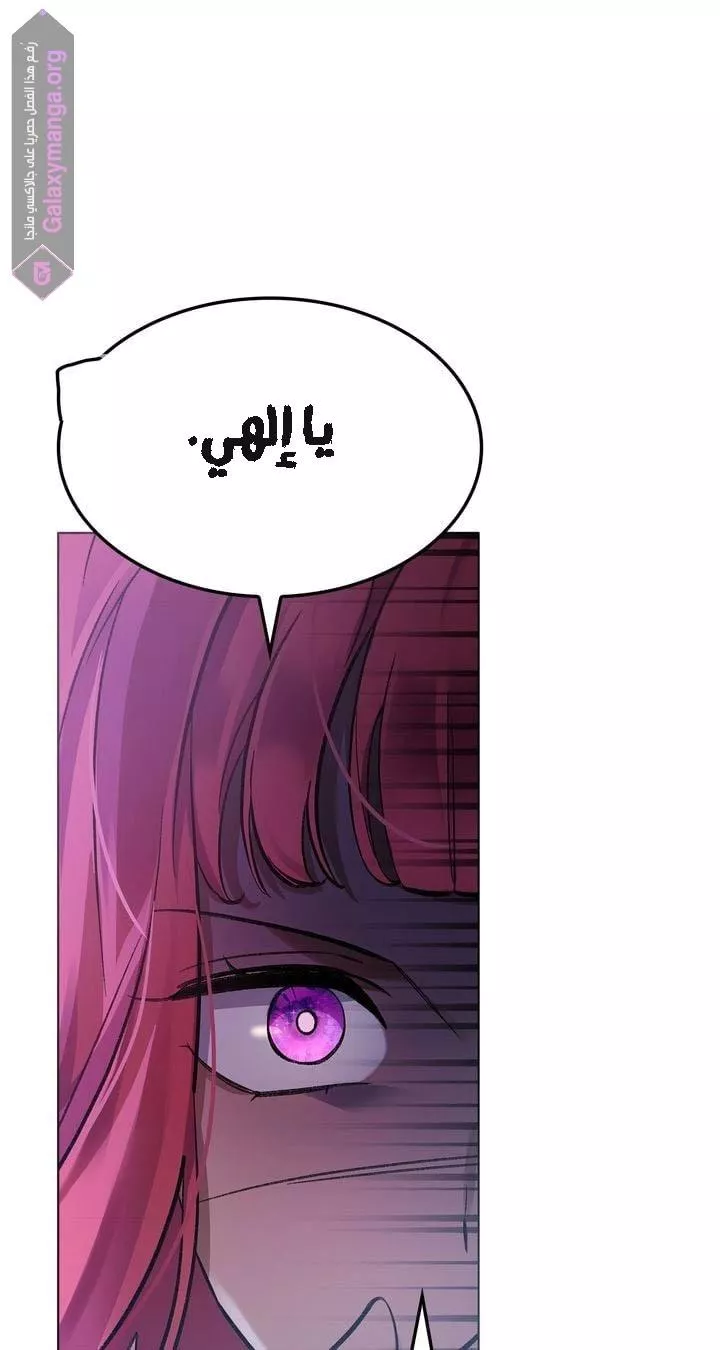 الصفحة 41
