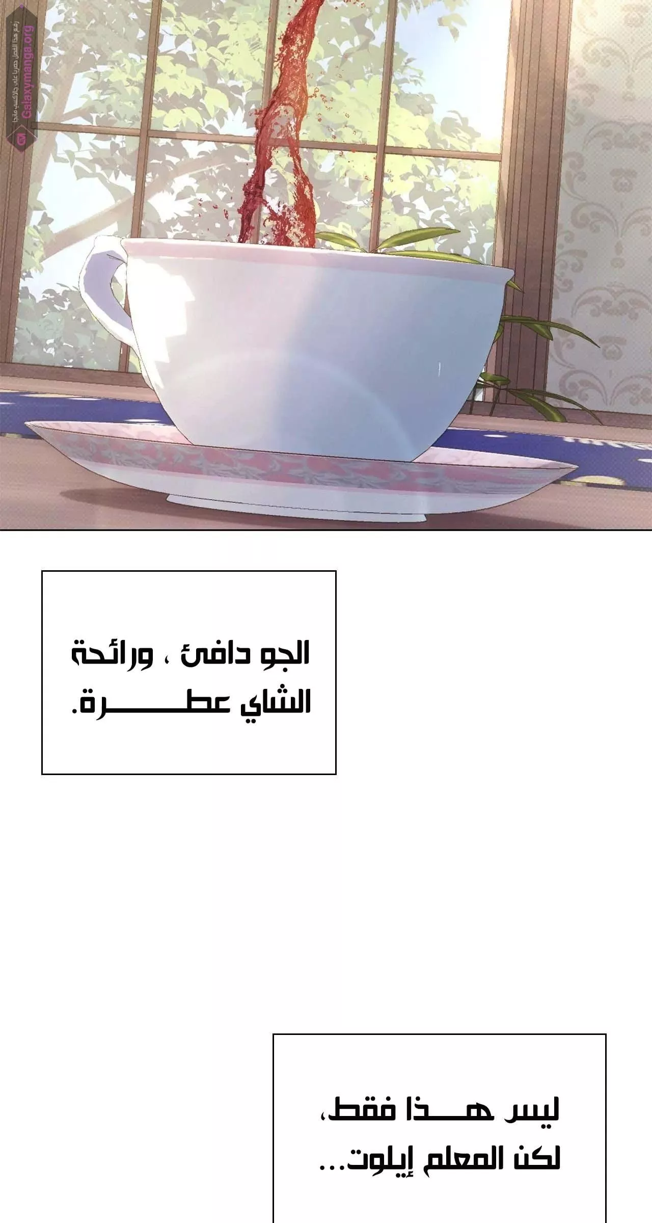 الصفحة 16
