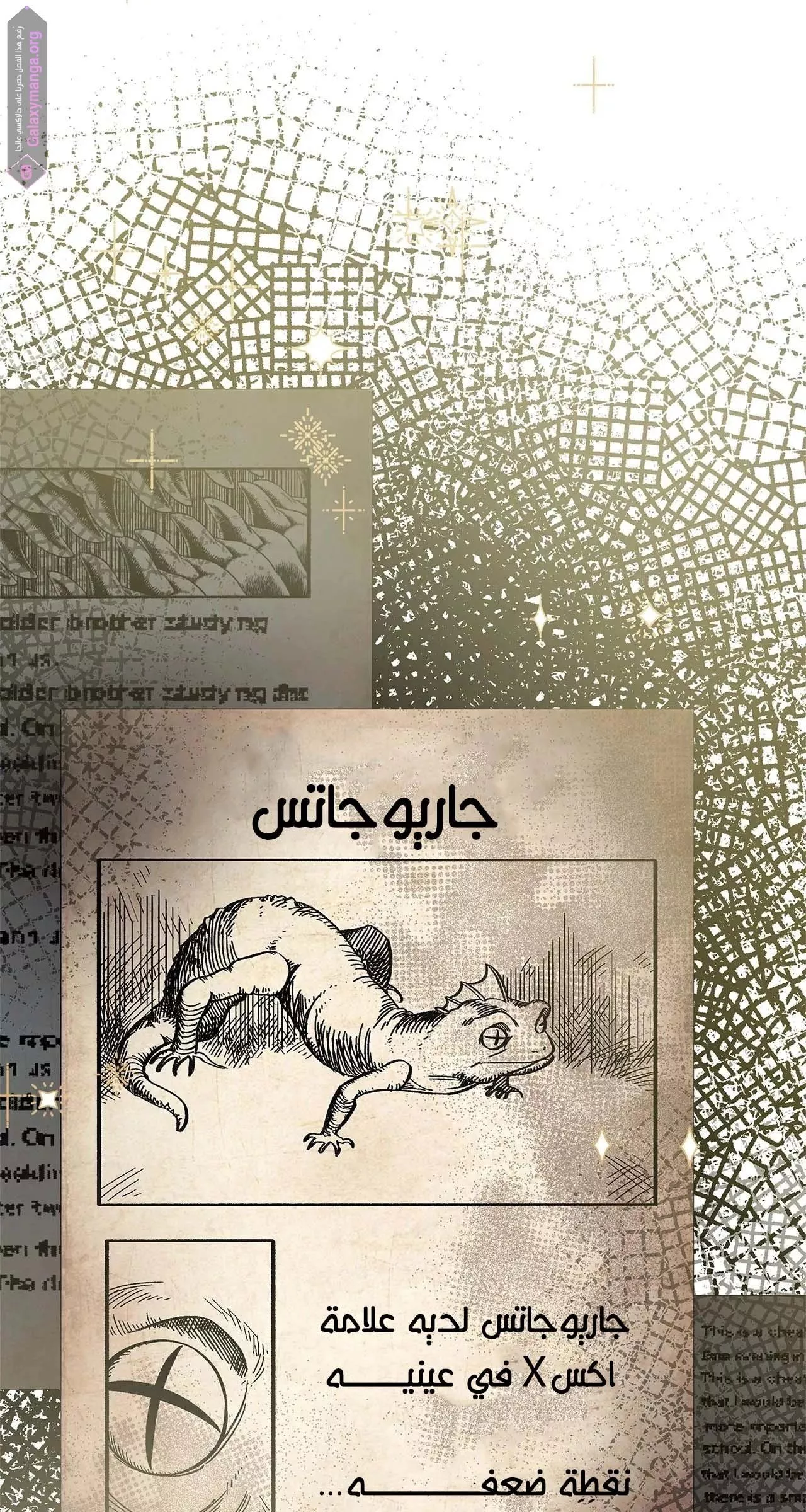 الصفحة 17