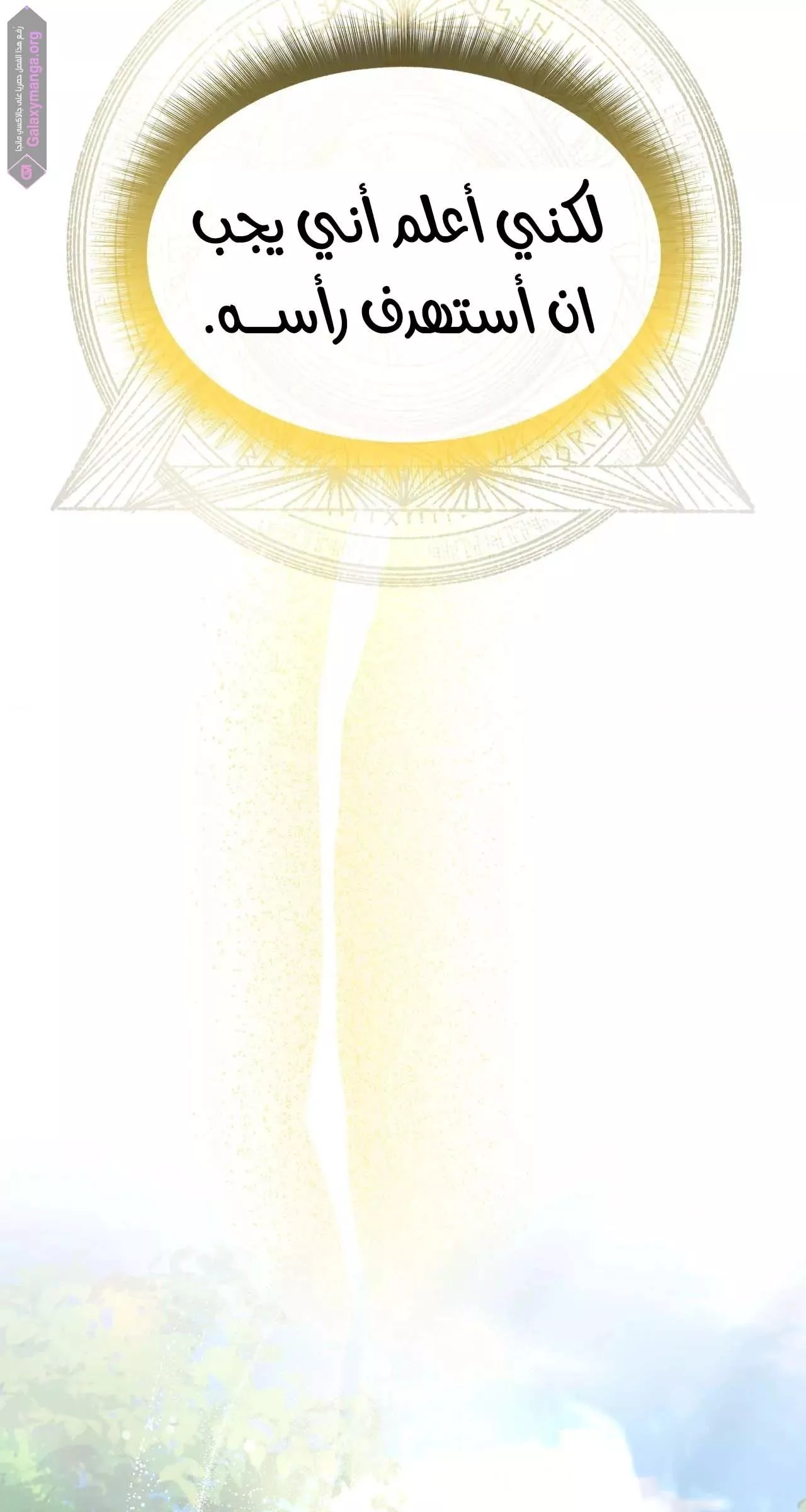 الصفحة 21