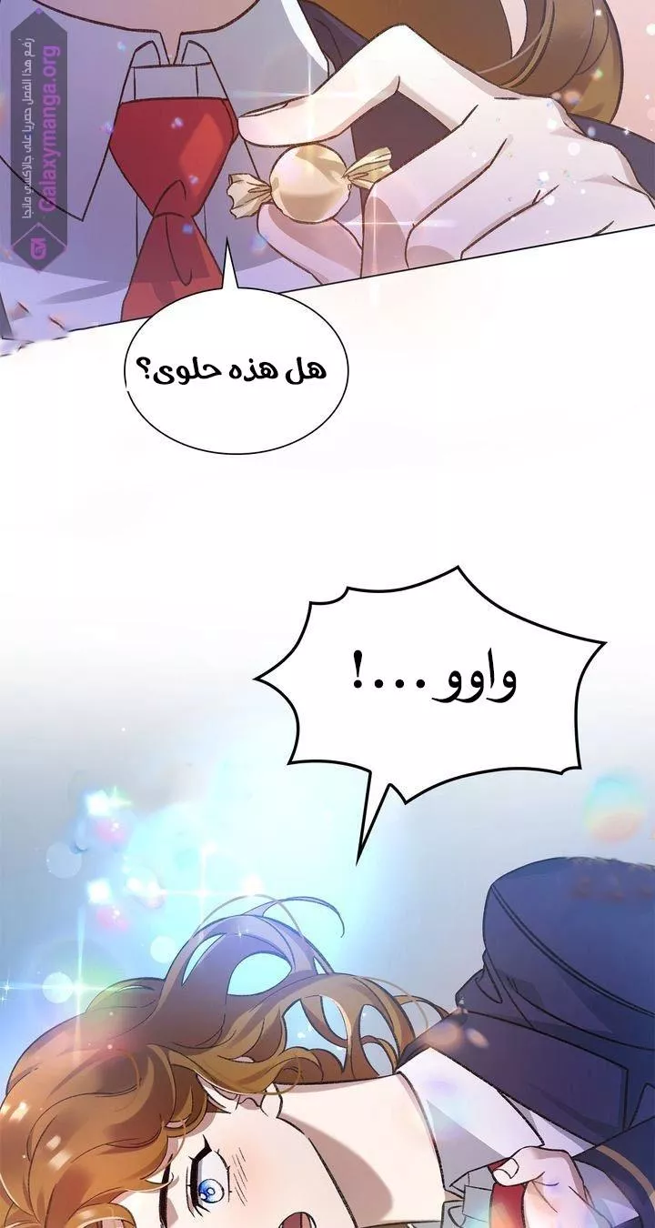 الصفحة 47