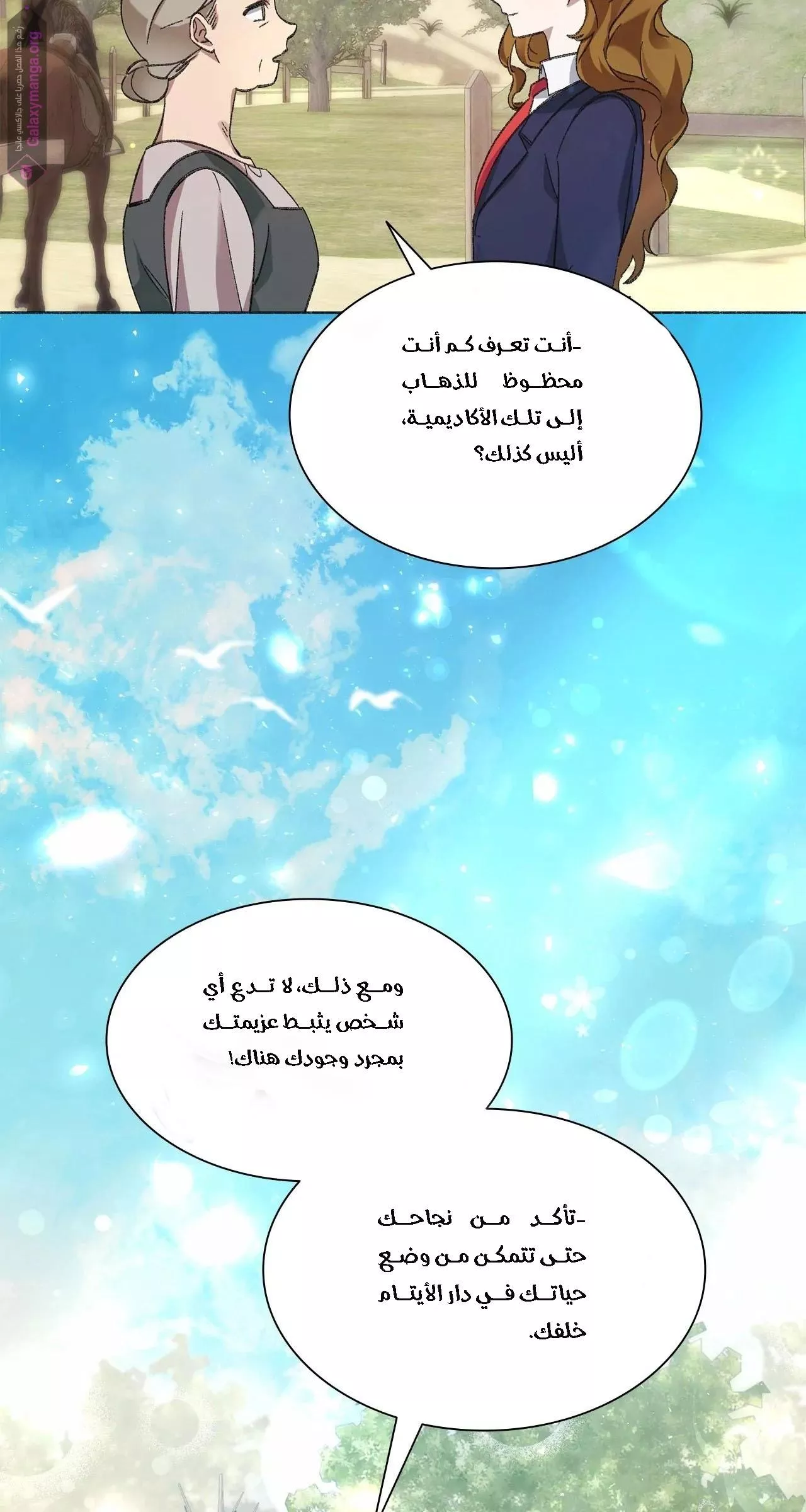الصفحة 14