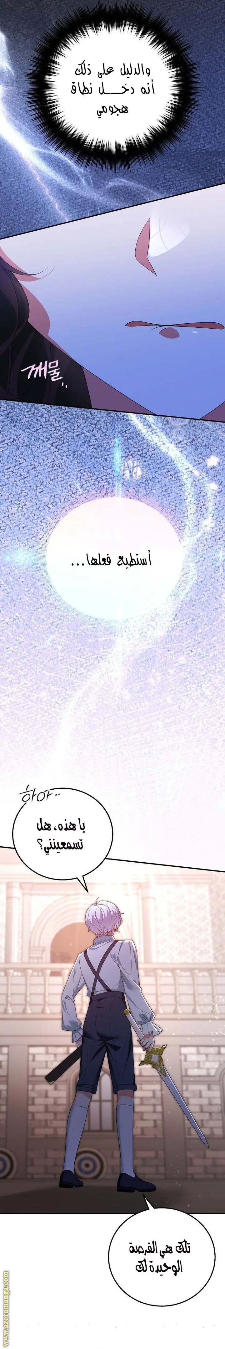 الصفحة 25