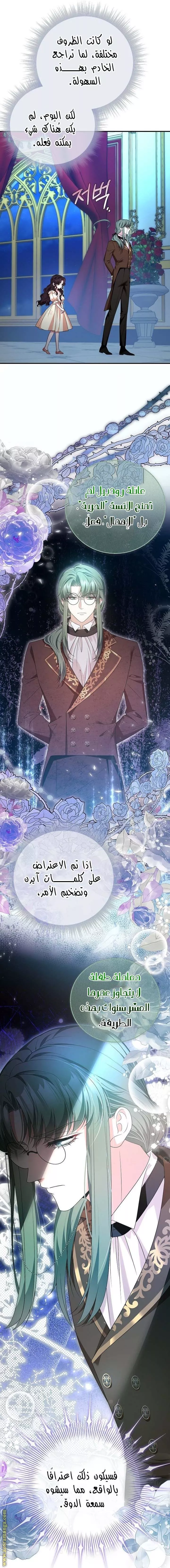 الصفحة 19